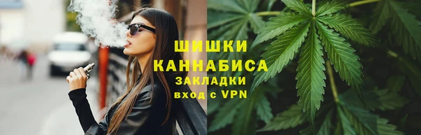 бошки Алексин