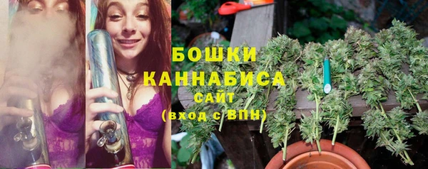 бошки Алексин