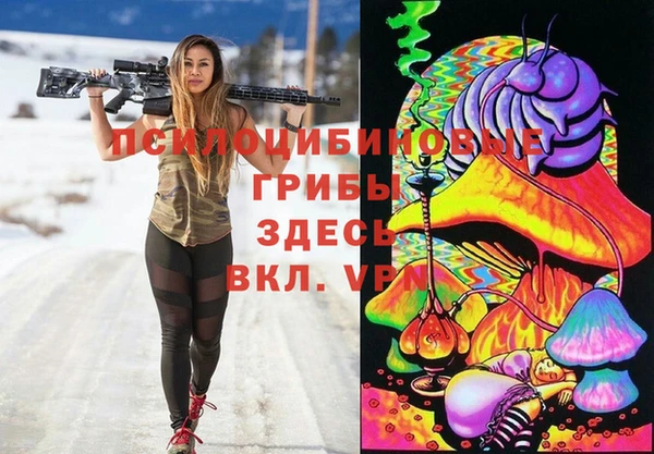 прущие крисы Абаза